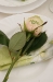 Rose bedruckt als Namensschild