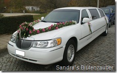 Limousine