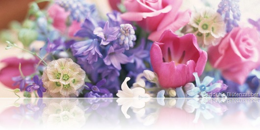 Rose_Bloemen1